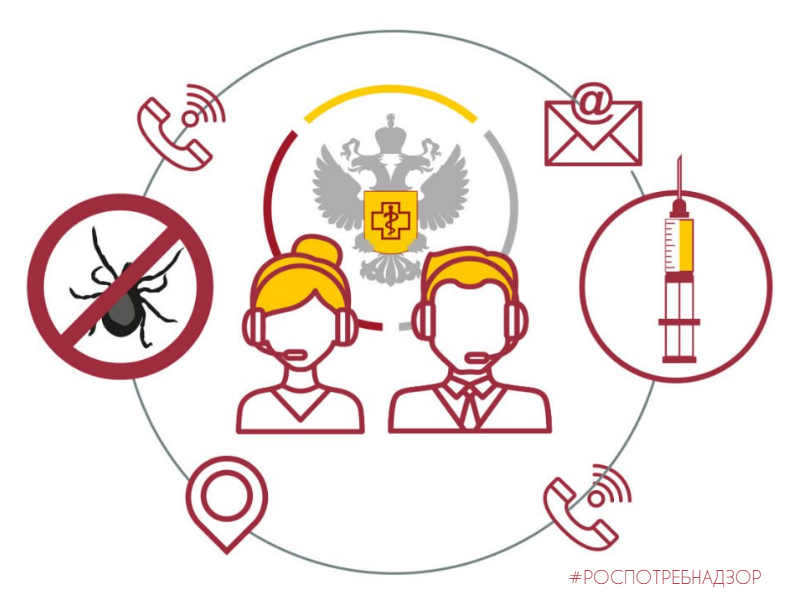 О работе «горячей линии» по вопросам профилактики клещевого вирусного энцефалита.